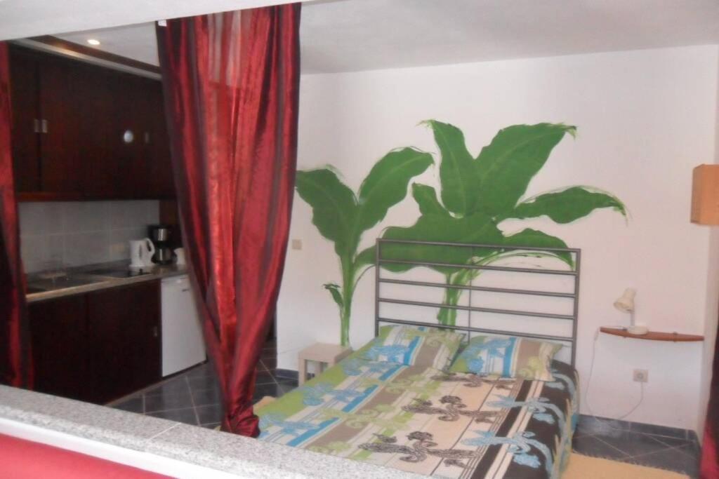 Studio Mira Abragao Экстерьер фото